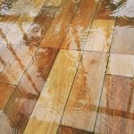 Wood Floors and Water Damage